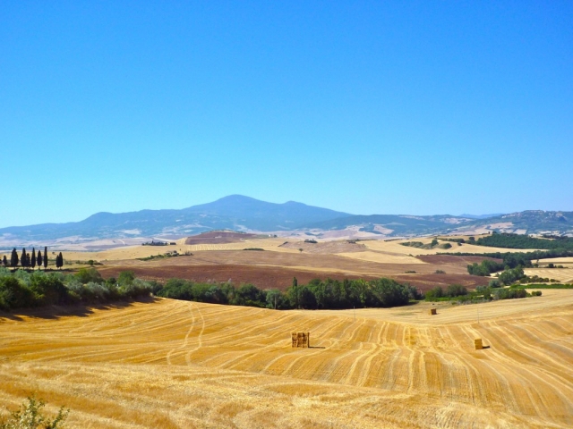  Monte Amiata 